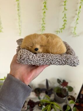 Realistic Mini Sleeping Puppy golden retriever Plush in Golden Fur
